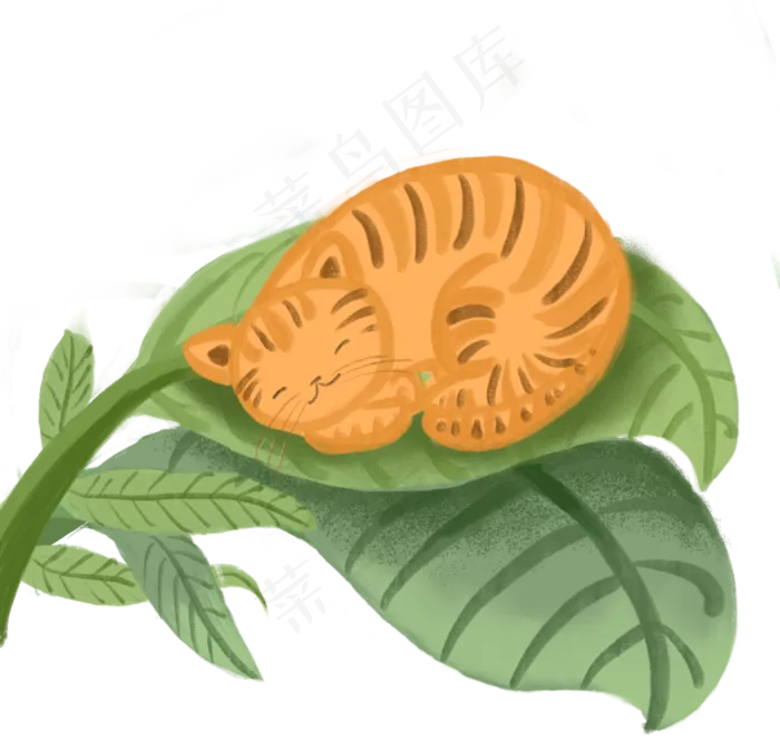 初夏叶子上睡觉的猫咪免抠图(1064X1010)