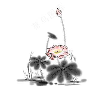 清新水墨荷花夏季植物