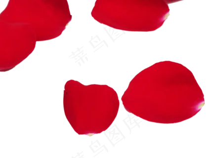 红玫瑰玫瑰花瓣