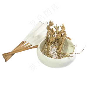 地骨皮中药药材,免抠元素