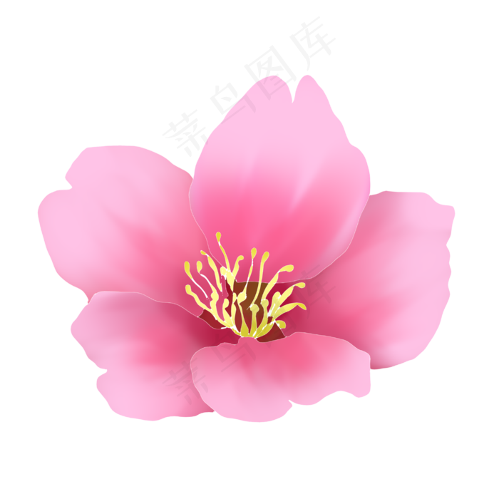 春天桃花开手绘插画,免抠元素