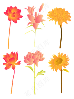 手绘渐变矢量植物花卉