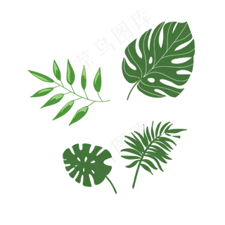 小清新树叶芭蕉,免抠元素