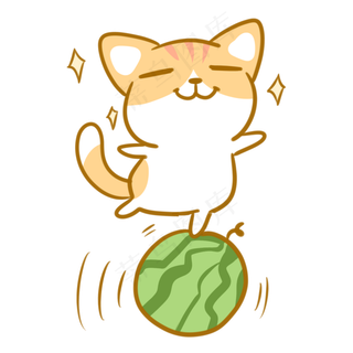 站在西瓜上的橘猫