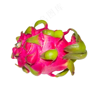 一个红色的火龙果