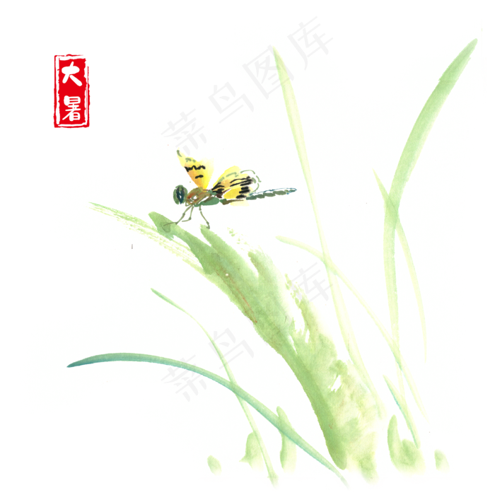 大暑草叶上的蜻蜓