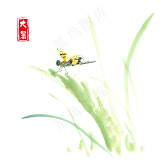 大暑草叶上的蜻蜓