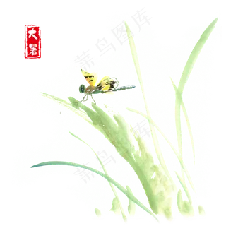 大暑草叶上的蜻蜓