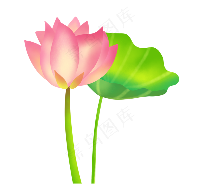 一朵荷花荷叶插画