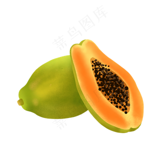 逼真手绘木瓜PNG免抠素材