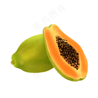 逼真手绘木瓜PNG免抠素材