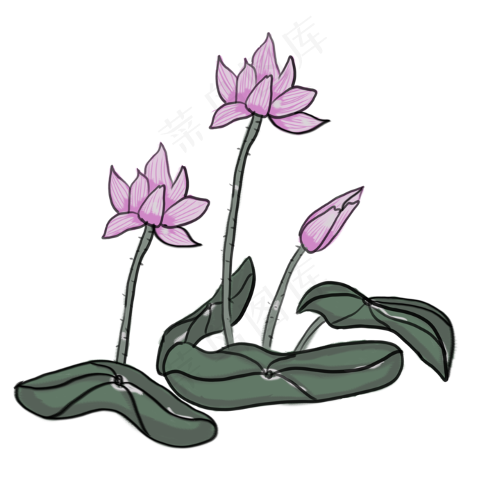手绘中国风水墨画荷花PNG素材