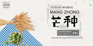 芒种黄色蓝色简约中国风展板