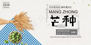 芒种黄色蓝色简约中国风展板