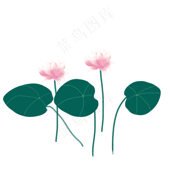 彩色荷花png素材(2000X2000(DPI:300))psd模版下载