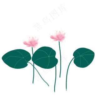 彩色荷花png素材