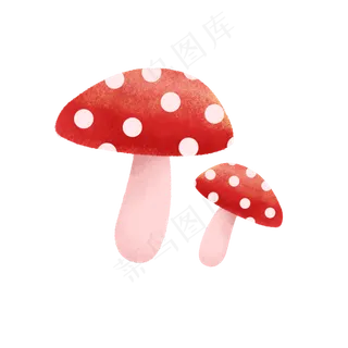 红色的斑点蘑菇