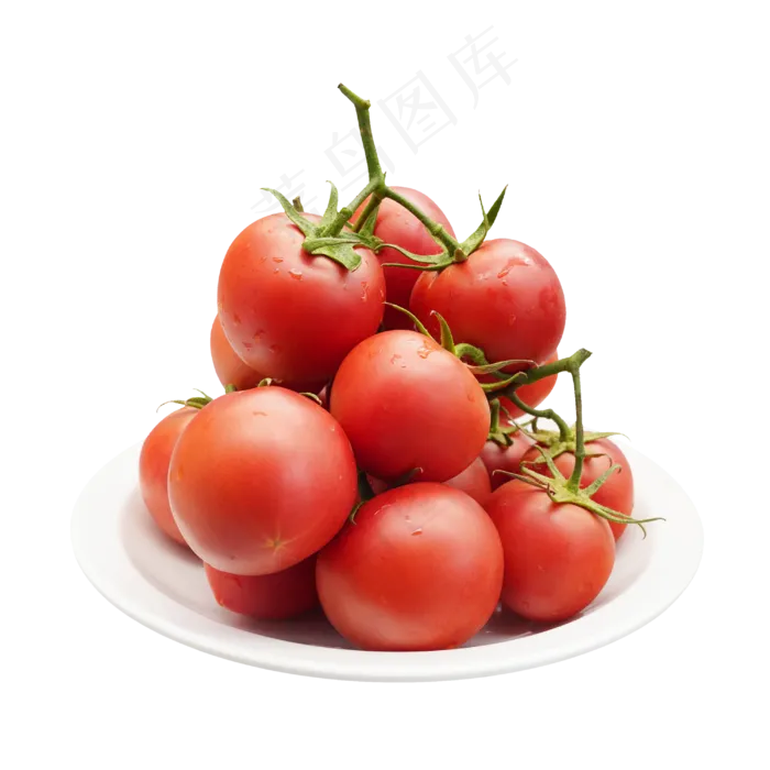 时令蔬果西红柿(2000X2000(DPI:300))