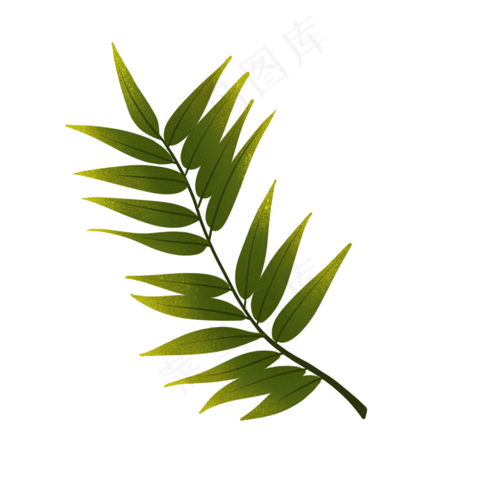 黄绿色树叶树枝插图
