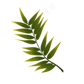 黄绿色树叶树枝插图