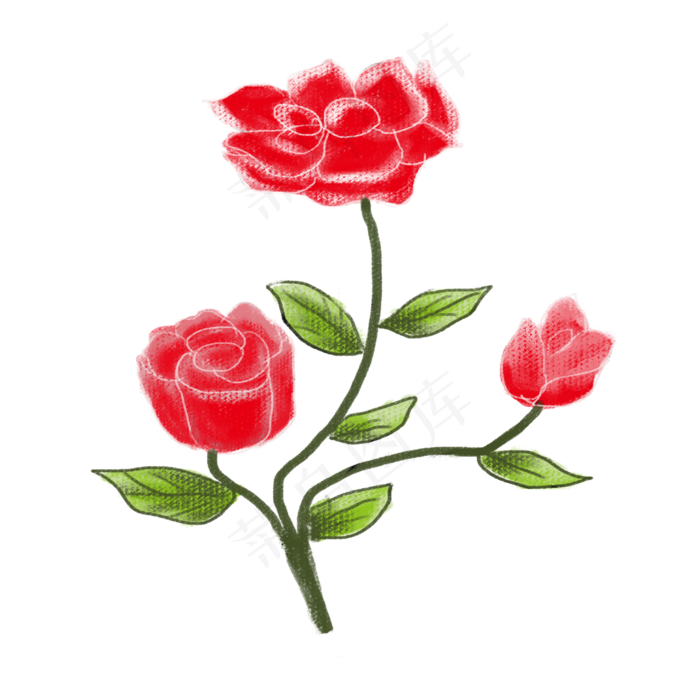 花卉玫瑰png素材(2000X2000(DPI:300))psd模版下载