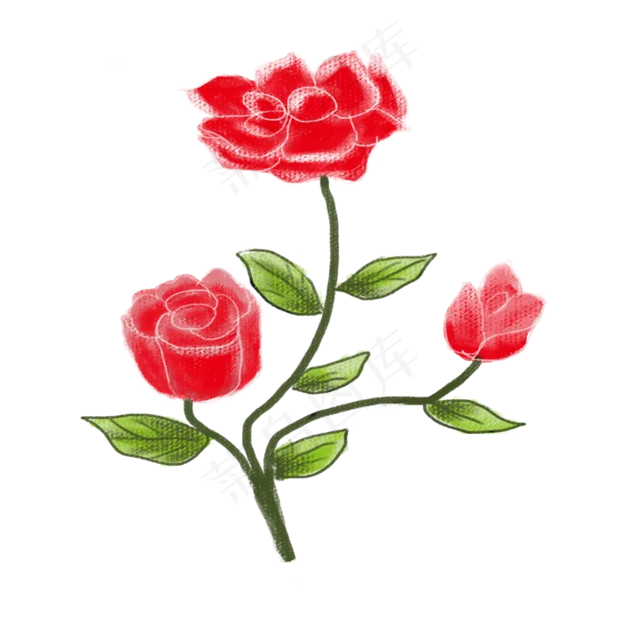 花卉玫瑰png素材(2000X2000(DPI:300))psd模版下载
