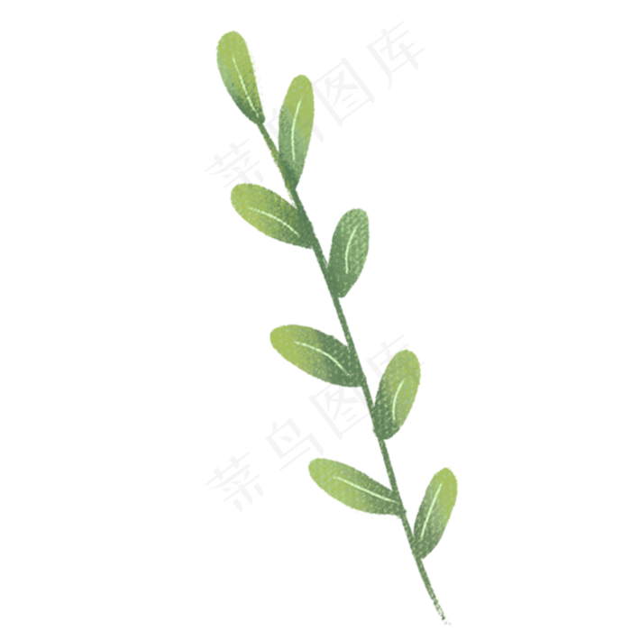 植物枝条绿叶PNG下载