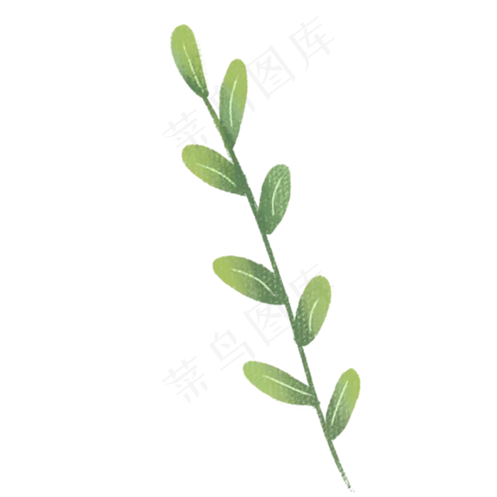 植物枝条绿叶PNG下载(2000X2000(DPI:300))psd模版下载