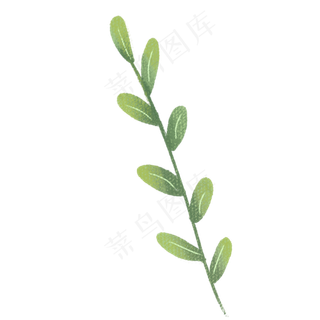 植物枝条绿叶PNG下载