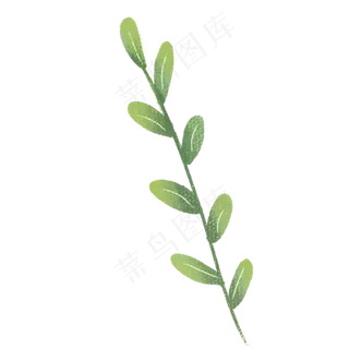 植物枝条绿叶PNG下载