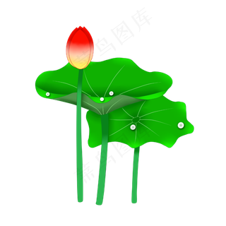 夏季荷花花苞PNG图案