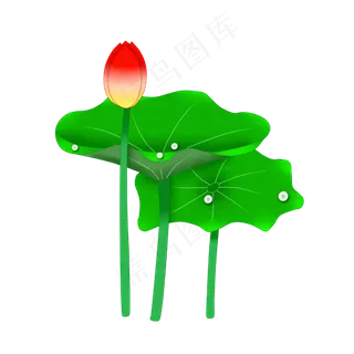 夏季荷花花苞PNG图案