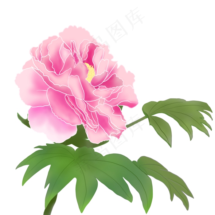植物类牡丹富贵装饰手绘(2000X2000(DPI:300))psd模版下载