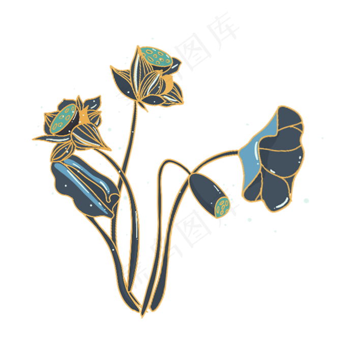 荷花荷叶莲花小暑大暑鱼