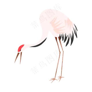 找虫子卡通山水仙鹤鸟类