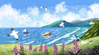 夏天海景远景近景紫色小花