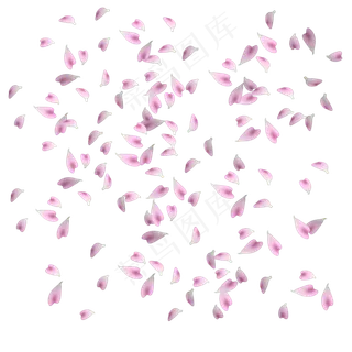 樱花乱舞随风飘零