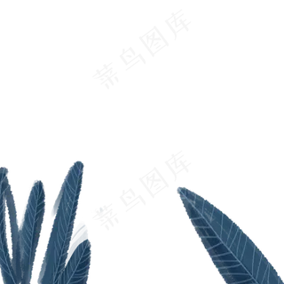 卡通植物叶子下载
