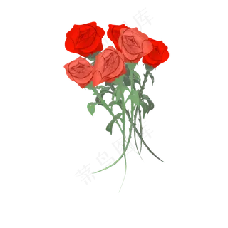 玫瑰花花束叶子求婚粉色大红色免