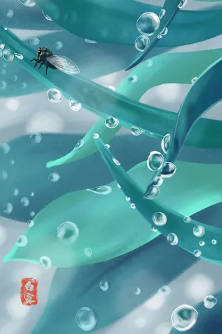 24节气白露植物树叶露水