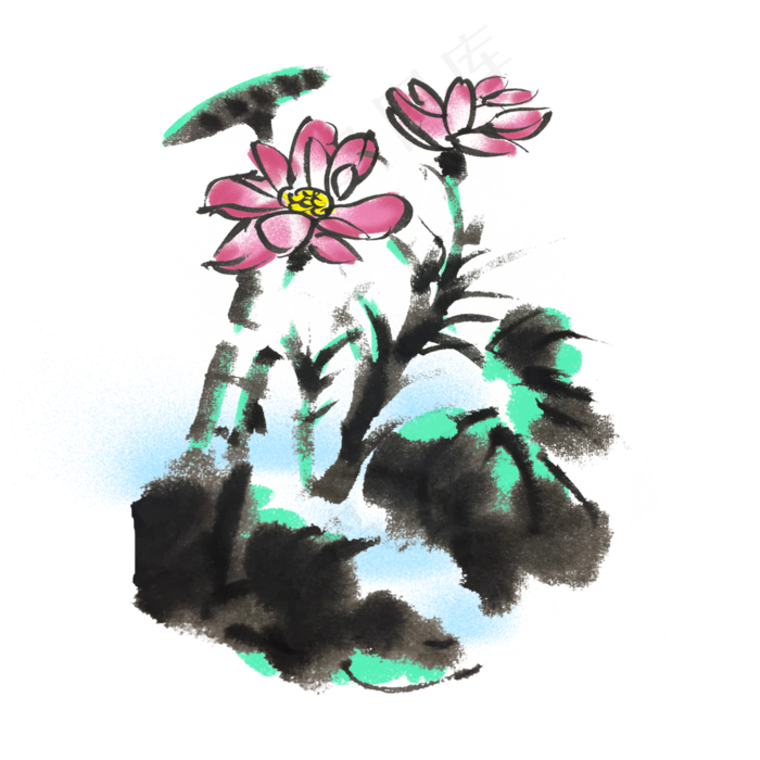 夏天荷花荷叶手绘花草