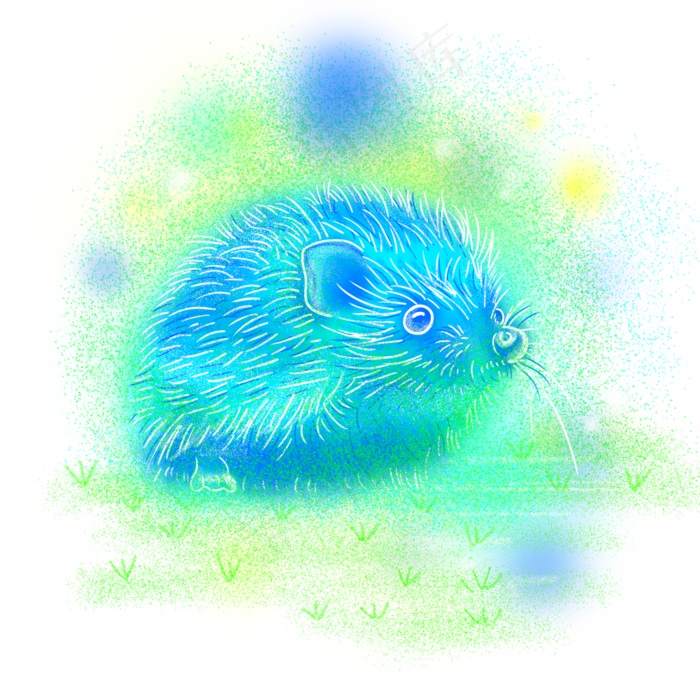 梦幻动物刺猬草地,免抠元素(2000*2000px 300 dpi )psd模版下载