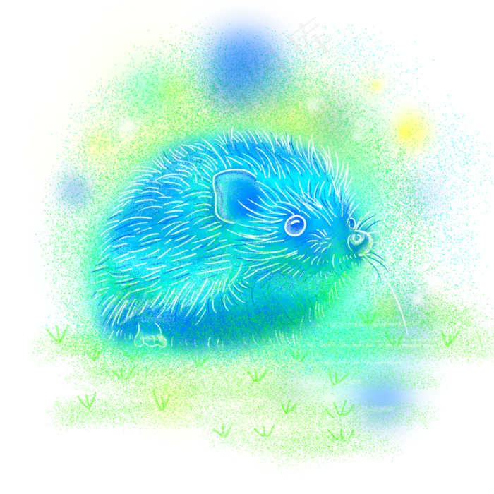 梦幻动物刺猬草地,免抠元素(2000*2000px 300 dpi )psd模版下载