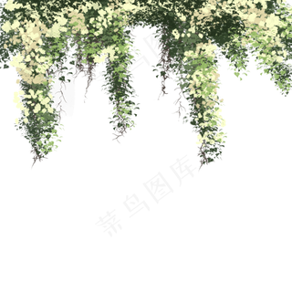 绿色的森林植物免抠图