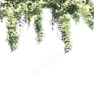 绿色的森林植物免抠图