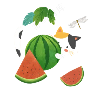 夏季海边元素装饰图,免抠元素