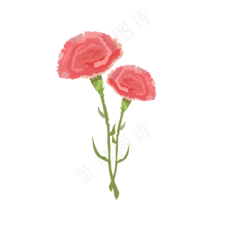 粉红色的母亲节康乃馨免抠素材