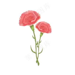 粉红色的母亲节康乃馨免抠素材