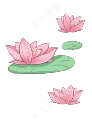 卡通荷花