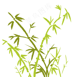 粽子节绿色水彩竹子竹叶